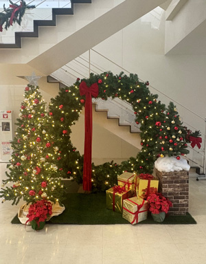 クリスマスツリー2025